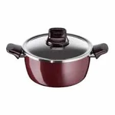 Tefal Pleasure - Stewpan 24cm+LID, TEF-D5024662