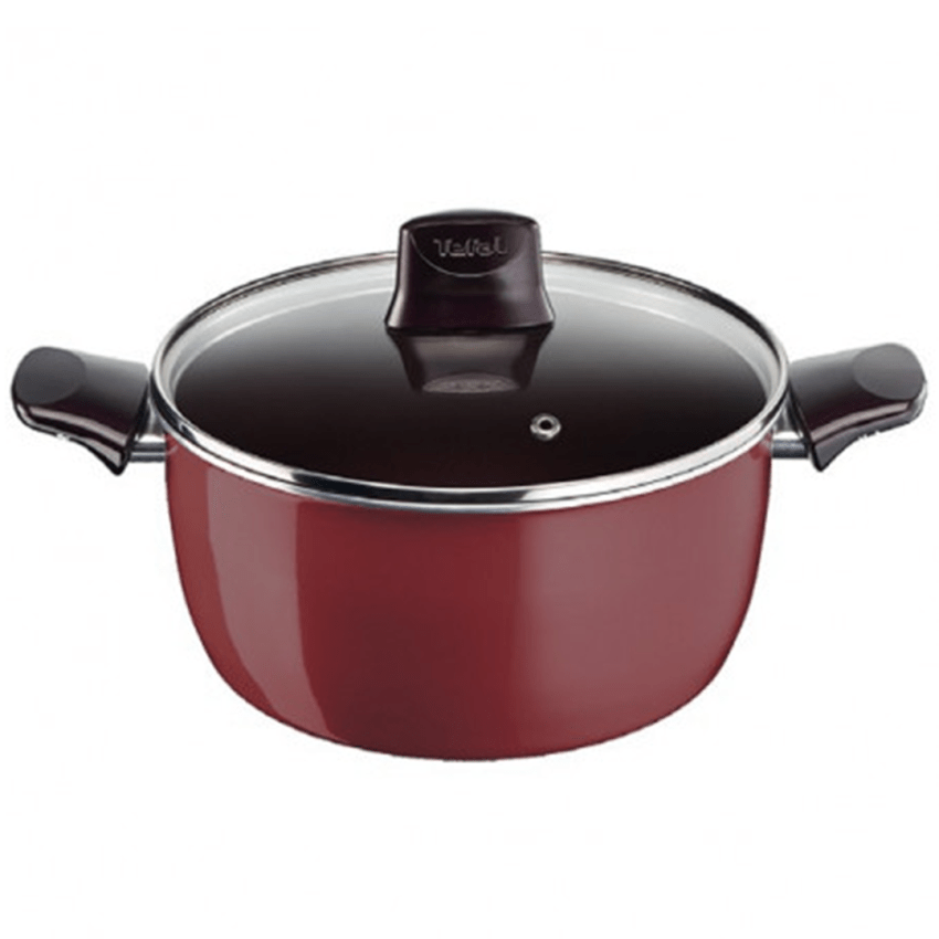 Faitout Tefal Pleasure D5055252 (26 cm)