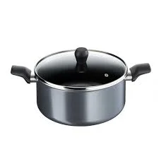 TEFAL Faitout Minute Grey B3184602 (24 cm) Gris