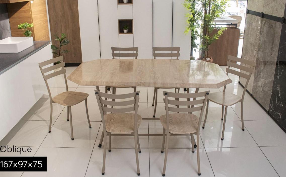 Table  Table Oblongue 167x97x75 + 6 chaise