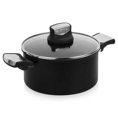 Tefal Faitout + Couvercle - Expertise - 20cm - C6204472