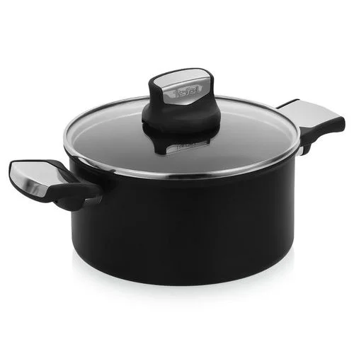 Tefal Faitout + Couvercle - Expertise - 20cm - C6204472