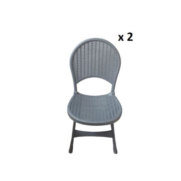 Lot de 2 Chaise pliable rotin -Gris